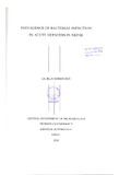 336.pdf.jpg