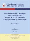 PRI3537_e. Social Protection Report.pdf.jpg