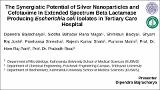 10.  DipendraBajracharya-TheSynergisticPotentialOfSilverNanoparticleAndAntibioitics (2).pdf.jpg