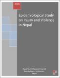 Injury-and-Violence.pdf.jpg